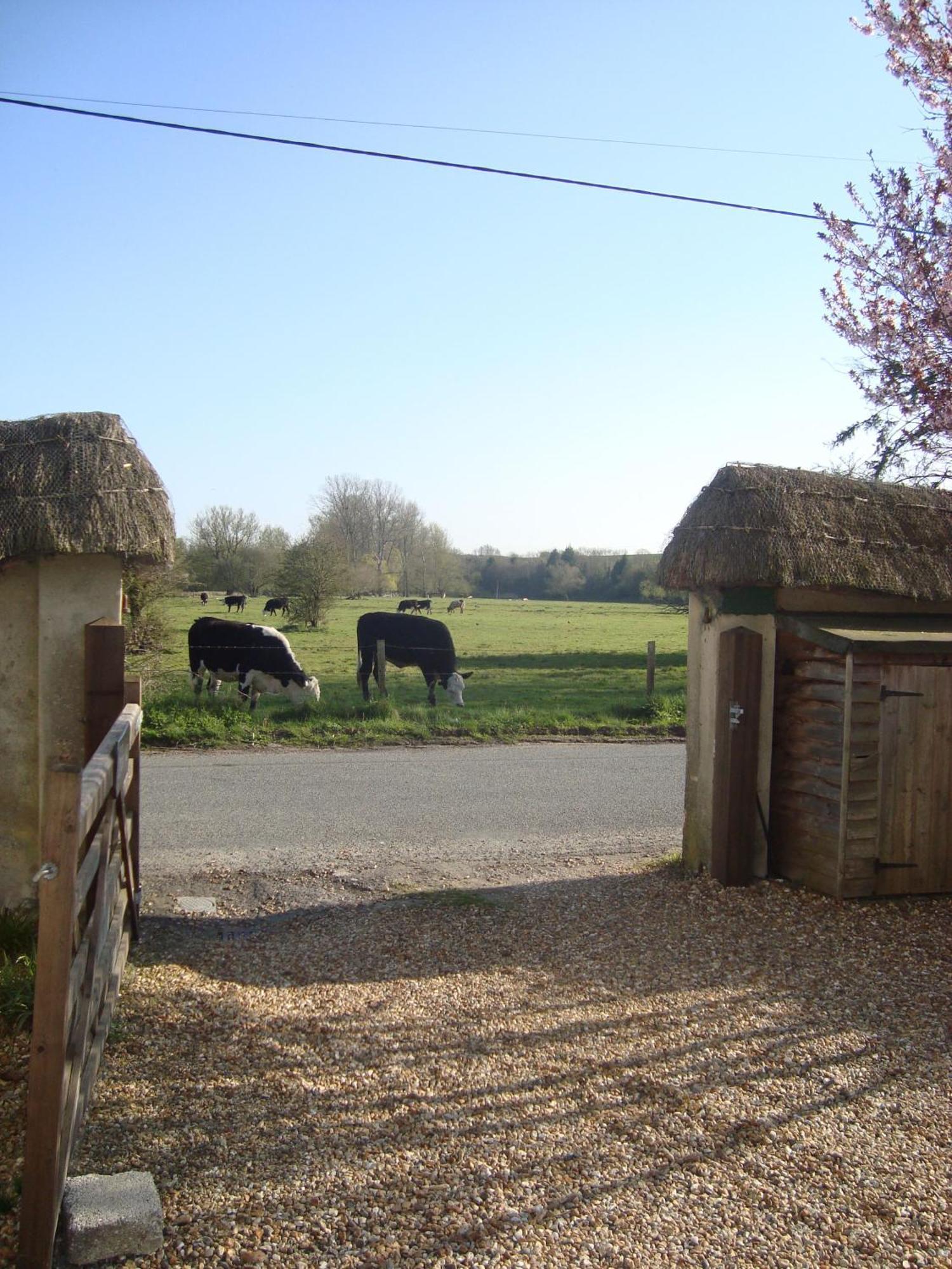 Stunning 3 Bedroom 3 Bath Self Catering Cottage Nr Stonehenge, Longleat, Avebury And Bath - Great Local Village Pub Pewsey Eksteriør bilde